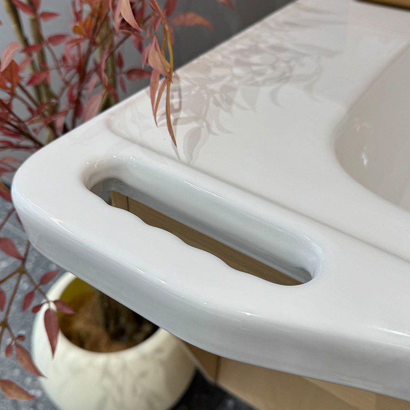 Barrier Free Bathroom Vanity S - đánh giá và giá Home Bathroom Vanity