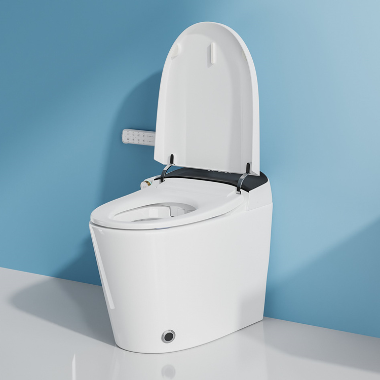 Home Decoration Bathroom Smart - đánh giá và giá Home Bathroom Decor