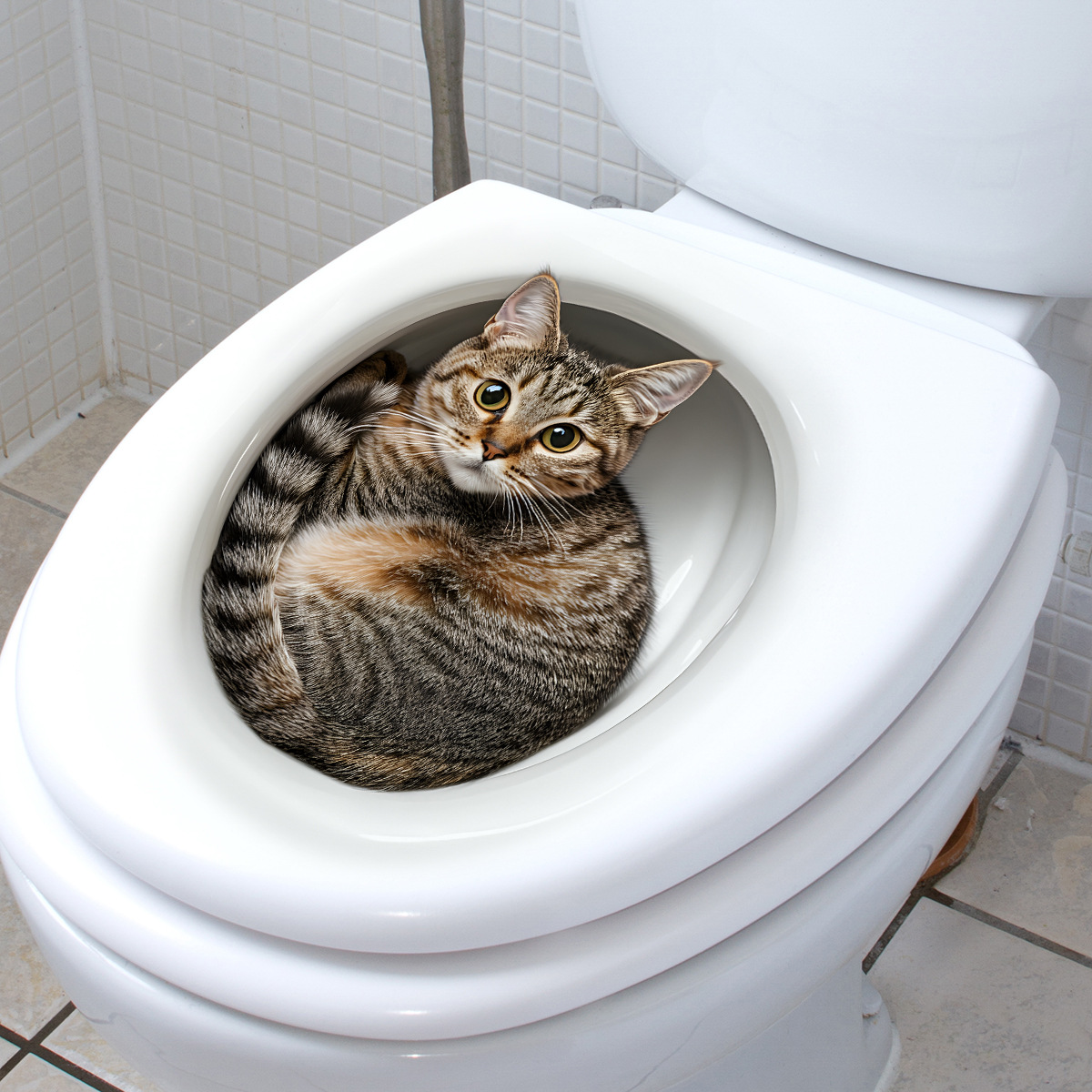 3D Funny Cat Toilet Sticker Ba - đánh giá và giá Home Bathroom Gadgets